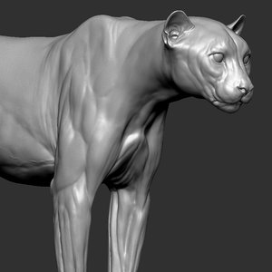 3D cheetah sculpt animal