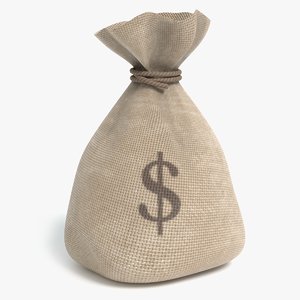 money bag 3D model
