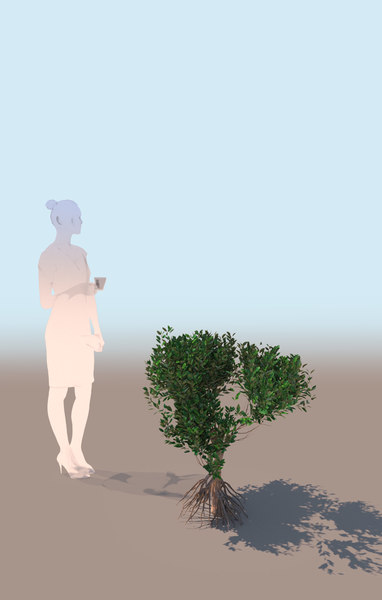 mangrove bush b rhizophora 3D