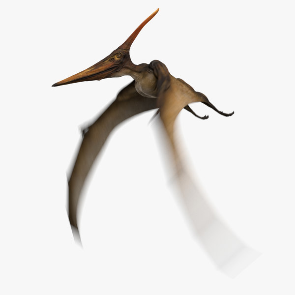 pterodactyl 3d google