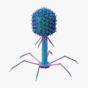 bacteriophage t4 virus 3D
