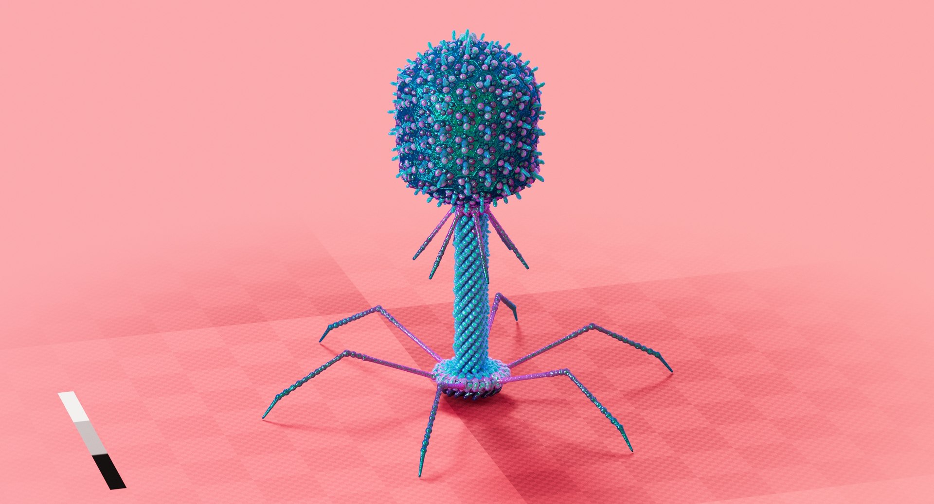 t4 bacteriophage plush