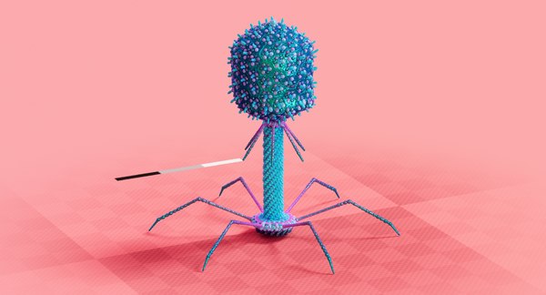 Bacteriophage t4 virus 3D - TurboSquid 1520557