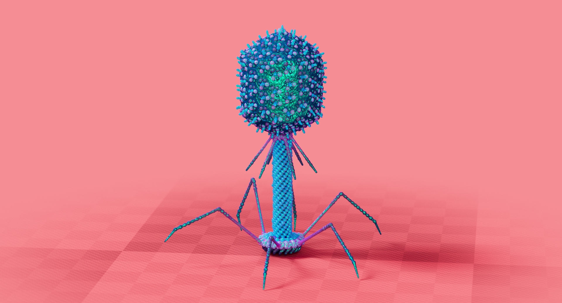 Bacteriophage t4 virus 3D - TurboSquid 1520557