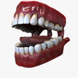 3D human mouth