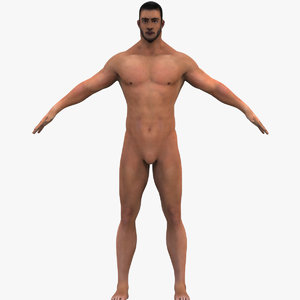 human male 3D model