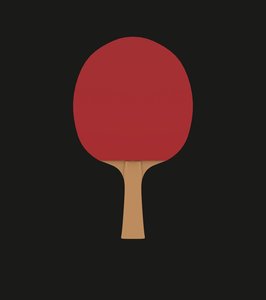 3D pingpong racket model