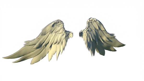 3D Wings Models | TurboSquid