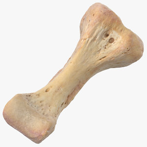 3D proximal phalanx bone index