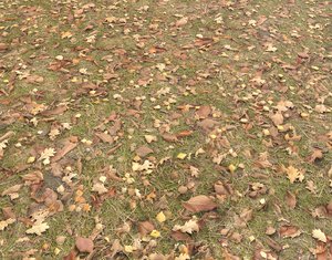 Ground terrain grass PBR pack 4