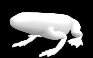 base scaphiopus holbrookii 3D model
