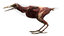 3D model rigging crow anatomy