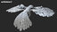 3D model rigging crow anatomy