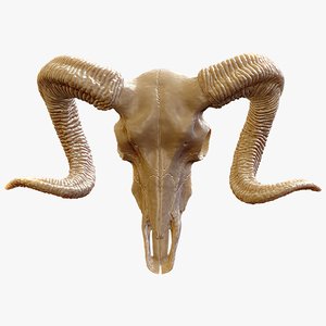 3d ram skull pendant print model