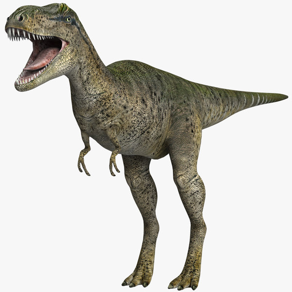 Albertosaurus 3D model - TurboSquid 1269914