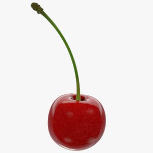 3D model cherry fruit food