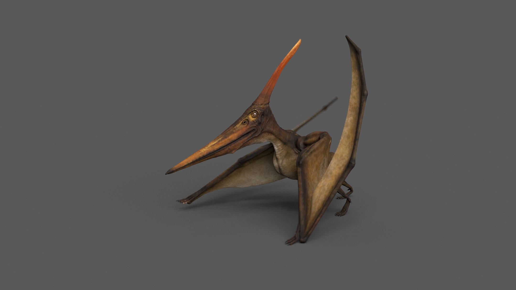 pteranodon 3d