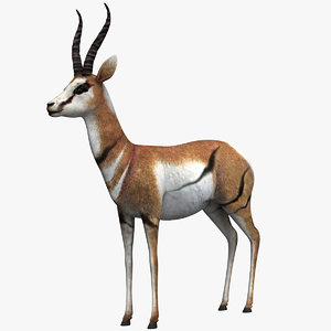 antelope 3d model