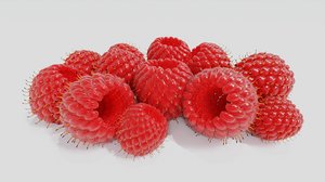 3D raspberry model
