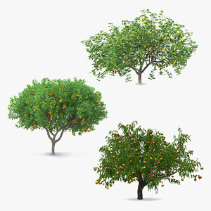 3D fruit trees model