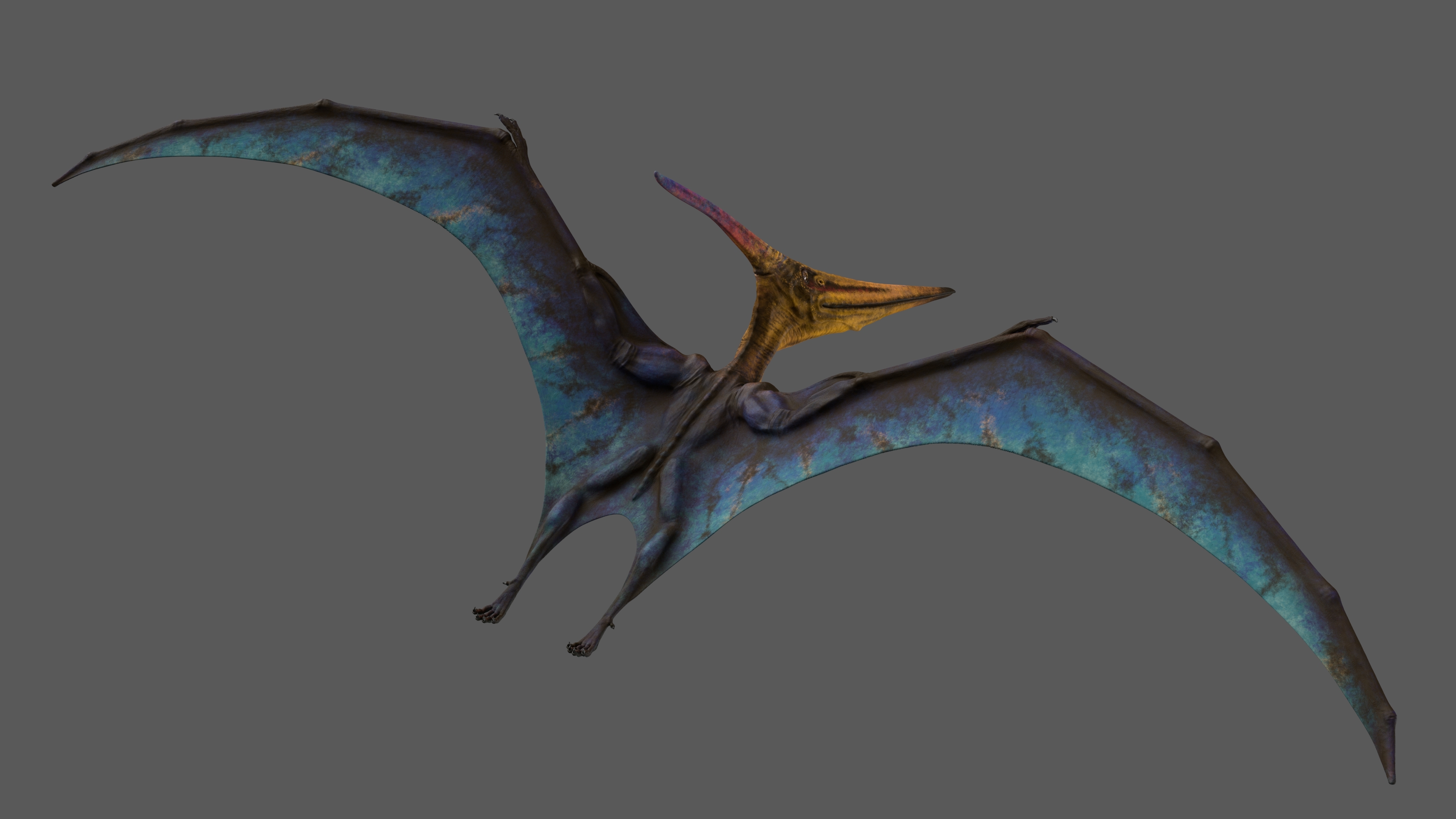 pteranodon 3d