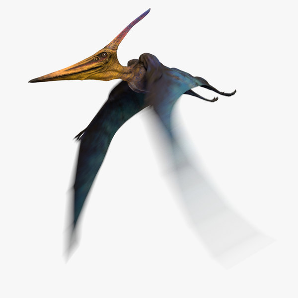 pterodactyl 3d google