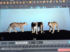 Leopard model