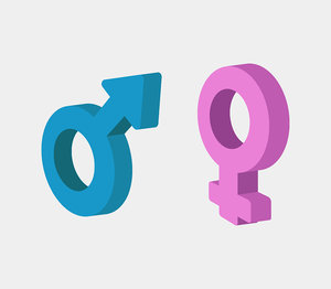 isometric gender