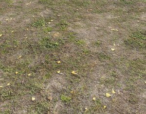 Ground terrain forest tundra PBR pack 5