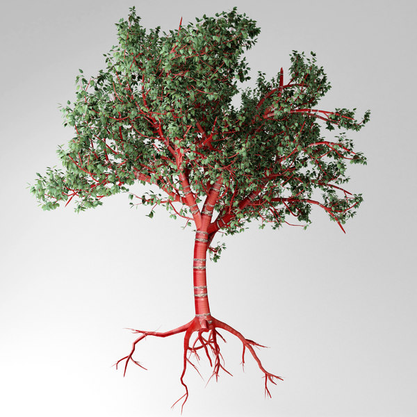 3d Tibetan Cherry Tree Model Turbosquid 1523653