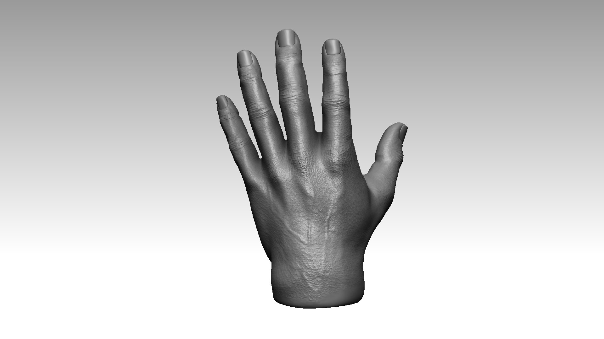 3d modeling a hand in zbrush