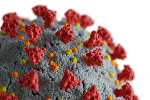 3D model pandemic corona virus