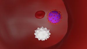 red blood cell coronavirus 3D model