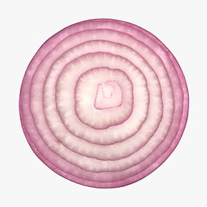 realistic sliced red onion 3D