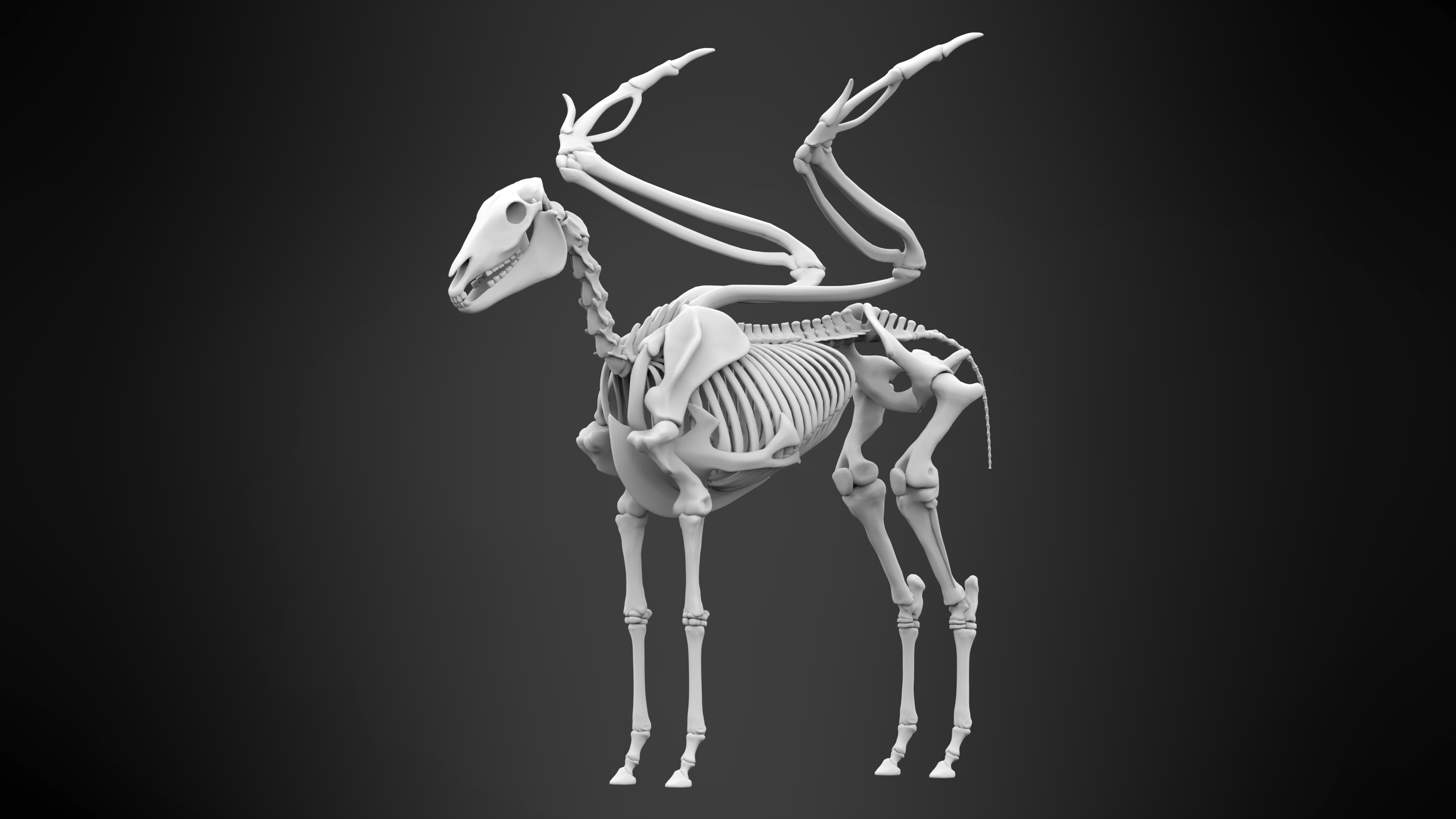 Pegasus smith 3d. How would Pegasus Skeleton look like.