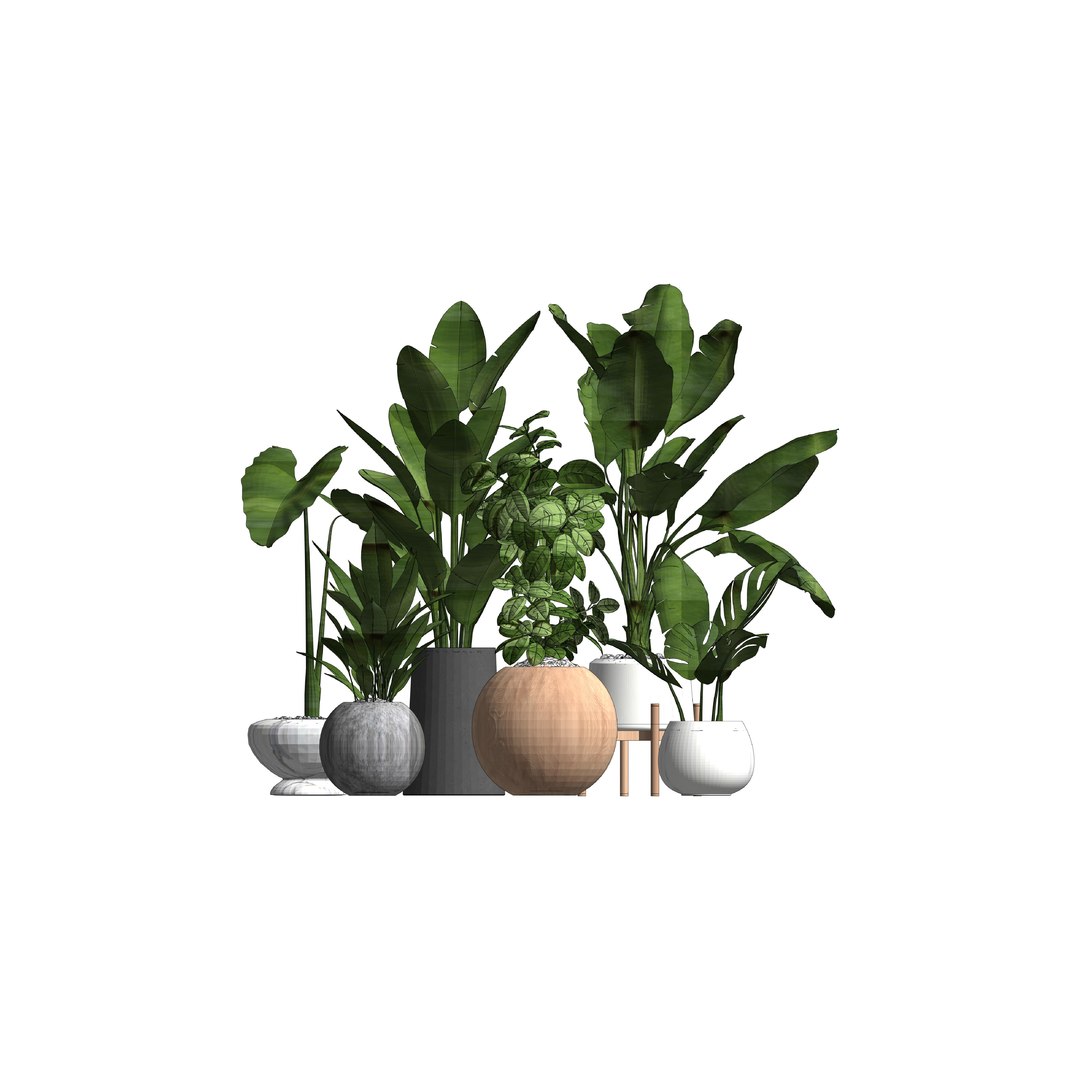 Revit potted plants family 3D model TurboSquid 1525147