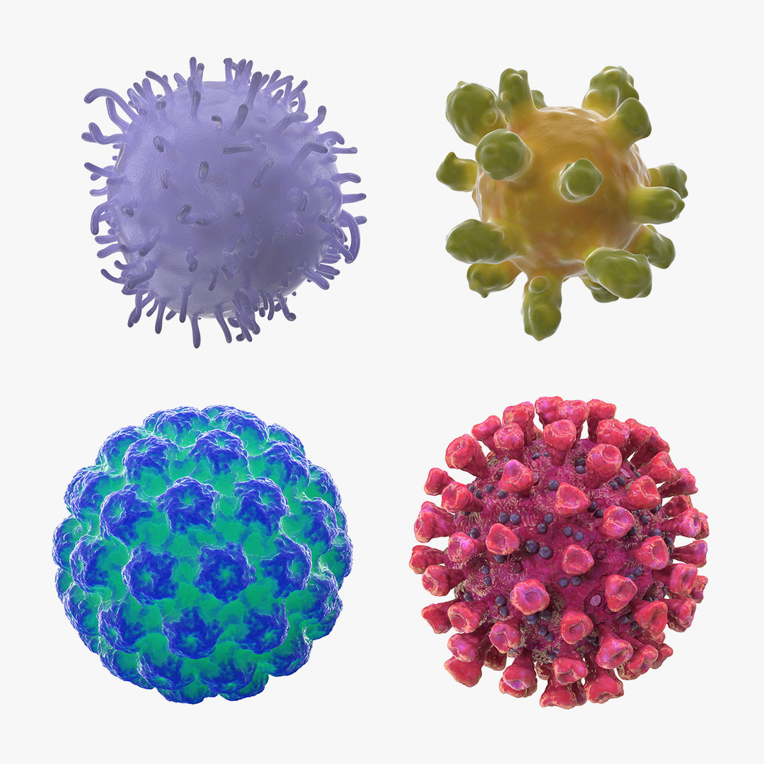 Human viruses 2 virus 3D model TurboSquid 1525295