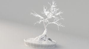 tree bonsai 4 3D model