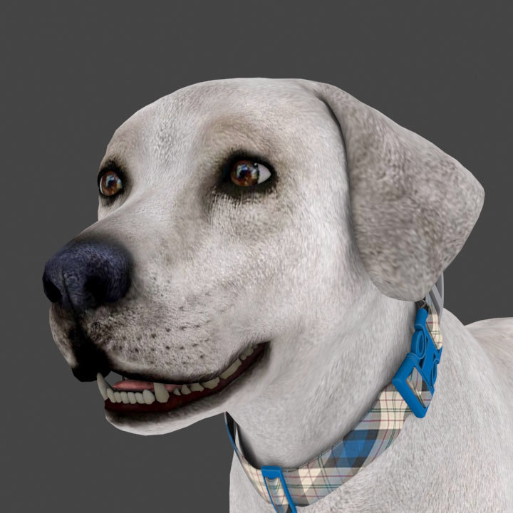 FLAB-001 Animated Dog3Dモデル - TurboSquid 1525966