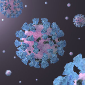 3D coronavirus sars-cov-2 model