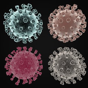 coronavirus 2019-ncov sars-cov-2 3D model