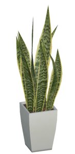 3D model foliage plant pbr