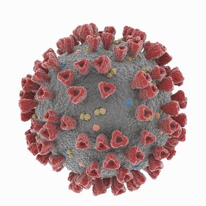 3D coronavirus 2019-ncov sars-cov-2