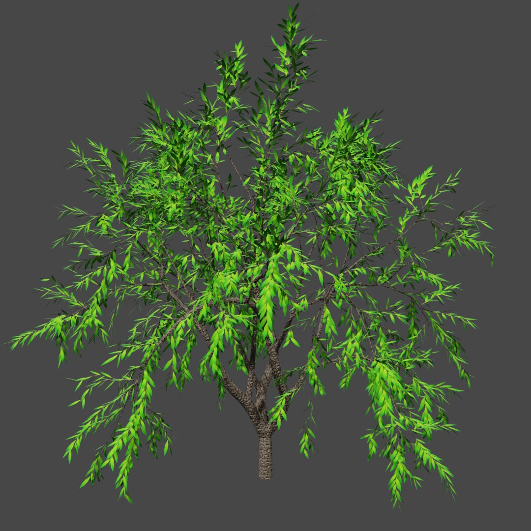 Tree plugin. 3d модель природы. sampling tree gen кактус. бойсан дерево 11 g. дерево sampled.