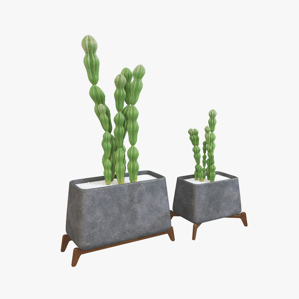 8 Brief Stories You Didn't Learn About Pictures Of Succulents