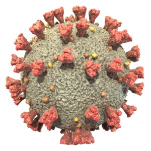 3D model coronavirus polygonal