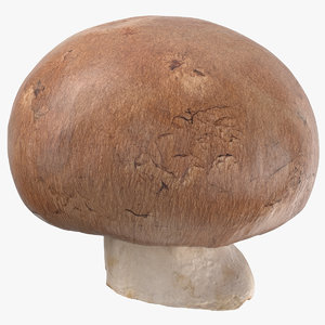 crimino mushroom 03 3D model