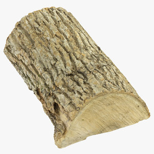 3D model wooden log 03