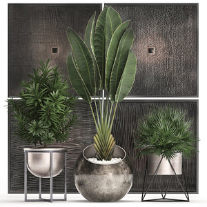 tropical plants interior 3D model