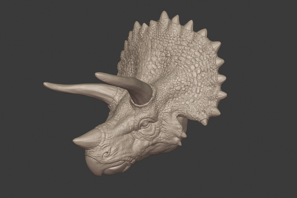 triceratops view in 3d